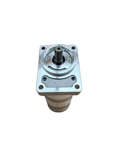 Pièces de machines de construction et d'équipements agricoles 307012-8020 pompe à engrenages - Product Image 1