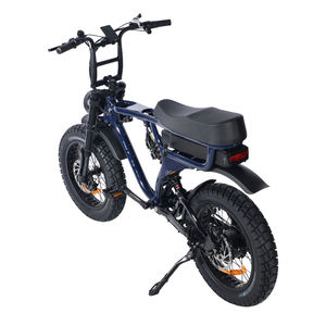 Vélo électrique tout-terrain 20 pouces léger 48V 750W pour adulte – Prix usine - Product Image 5