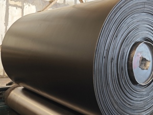 Bền tùy chỉnh băng tải bê tông hiệu suất cao nhà máy tùy biến đáng tin cậy - Product Image 2