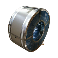 Q235 Dx51d Z100 Bande d'acier revêtue de zinc galvanisé à chaud Bande d'acier galvanisée