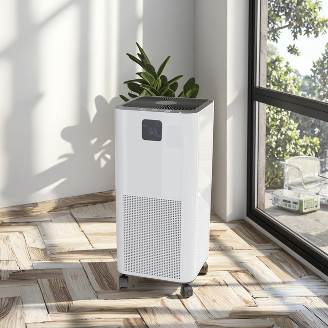OEM/ODM Large Capacity Portable Electric Air Purifier for Home Plastic Appliance with Luftreiniger China
