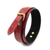 Rotes PU-Leder Halsband und Leine Set für Männer und Frauen