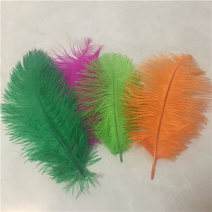 Prezzo all'ingrosso 15-70cm piume di struzzo soffici naturali - Product Image 3
