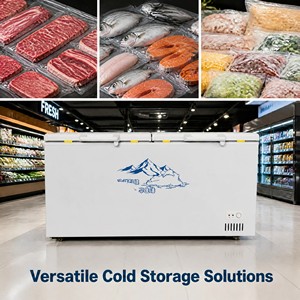 Congelador Horizontal Grande de 600L, Gran Capacidad, Dos Puertas, Refrigeración Profunda, para Uso Comercial en Restaurantes - Product Image 2