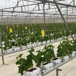 Sistema de calhas NFT PP através de calhas de cultivo hidroponia vertical sistemas domésticos