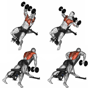 Bán chạy nhất ngồi lên băng ghế dự bị nhà máy bán buôn quả tạ gấp băng ghế dự bị - Product Image 6