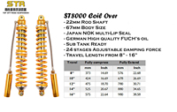 Amortisseur de Choc Coilover Double STR Racing Réglable 4x4, Suspension Tout-Terrain OEM pour Buggy Tubulaire