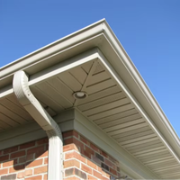 Plafond moderne en bois décoratif poids léger PVC soffite panneau Vox panneaux de plafond extérieurs pour la nouvelle décoration de toit de maison