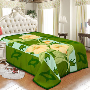 Couverture d'hiver - Product Image 1