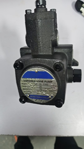 Hydraulische Flügelzellenpumpe VPE-F08D-10 VPE-F12D-10 VPE-F15D-10 VPE-F20D-10 VPE-F30D-10 VPE-F40D-10 VVPE-F20D-20D-1 - Product Image 5
