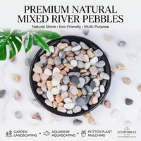 Vente en gros de graviers décoratifs naturels de couleurs mélangées pour aquariums, pots de plantes, aménagement paysager, décoration de la maison et projets de jardinage
