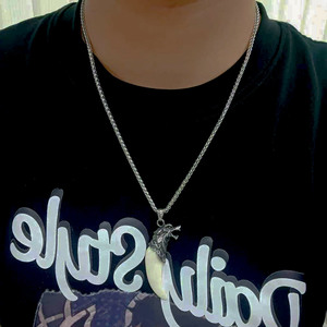 Collar Wolf Tooth para hombre, colgante de animal de acero de titanio, cadena con cabeza de lobo de resina, regalo SP1038 - Product Image 4