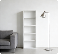 Bibliothèque Murale Moderne en Bois Blanc Avec Échelle