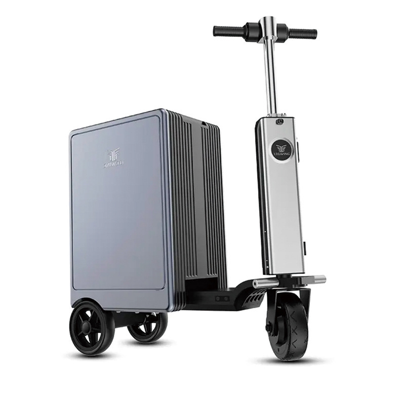 Temperamento grigio-20 pollici