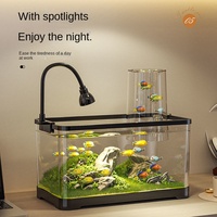 Élégant petit aquarium créatif avec plastique écologique suspendu sous vide à pression négative Aquascape pour salon chambre à coucher