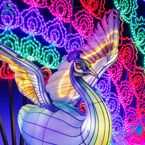 SGFL090 Hot Sale Theme Zoo Park Lantern Exhibition Christmas Lotus <b>Leaf</b> Lantern Frog Silk Lantern for Festival - Product Image 4