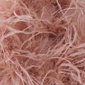 Nuevo Top corto de plumas para fiesta de Club para mujer, Tops de plumas de avestruz sin tirantes de verano, chaleco con tirantes en la espalda, cuello con cordones - Product Image 6