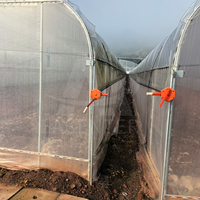 Acenter Grande serre agricole à travée unique de 8x30m Toiture en dents de scie évents latéraux Film PE 200 micron certifié CE pour Tropical