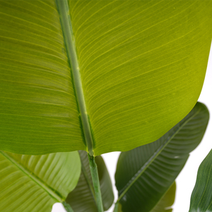 Árbol de Plátano Artificial de <span class=keywords><strong>Ravenala</strong></span> de Plástico de Alta Calidad, Plantas Verdes del Paraíso, Resistentes a los Rayos UV, Ecológicas, 150 cm, para Hoteles y Cafeterías - Product Image 3