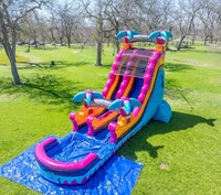 Nieuw Ontwerp Dubbele Glijbaan Opblaasbaar Waterkasteel Outdoor Draak Fruit Gekleurde Palmboom Met Zwembad Te Koop