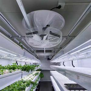 40HQ Congelador Contenedor de envío Granja Hidropónica Verde Gr Crecimiento eficiente Planta Contenedor Fábrica Sistema de control totalmente automatizado - Product Image 5