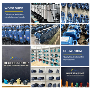 Pompe à eau à jet <span class=keywords><strong>BLUESEA</strong></span> à haute pression, auto-amorçante, en acier au carbone, moteur 220V, pour l'irrigation agricole - Product Image 4