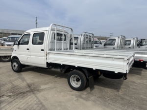 Camioneta Económica de 1 Tonelada con Cabina Doble y Plataforma Plana para Suministros de Jardinería - Product Image 6