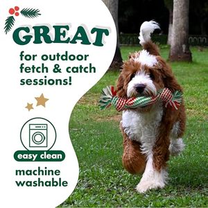 Jouets pour chiens écologiques sans rembourrage, qui couinent, en peluche froissée, lot de 2, sans garniture, pour les races petites et moyennes - Product Image 2