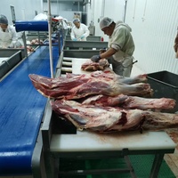Équipement d'abattoir Machine de ligne d'abattage de porcs Production complète de porc Abattage