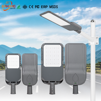 Lampadaire LED extérieur en aluminium moulé sous pression, CRI>80, 100W 150W 200W 300W, fabrication OEM/ODM