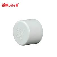Raccords de tuyauterie en PVC Plug Wholesale PVC Pipe End Cap Plug-Commande en gros pour la plomberie/Construction 40/63/90/110mm