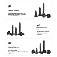 Vis autotaraudeuses à tête plate large en acier au carbone uni, revêtement oxyde noir, classe C, M3/M4/M5, vis autotaraudeuses à tête parapluie