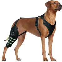 HWK-0012 # jambe récupération manchon orthèse réduit les douleurs articulaires chien genouillère orthopédique genouillère protecteur