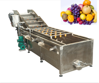 Industriële bubbelwasmachine voor fruit en groenten, tomatenwasmachine