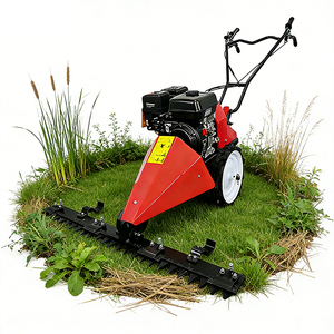 <span class=keywords><strong>Tagliaerba</strong></span> a Spinta OEM 212cc a Benzina, Larghezza di Taglio 80-120cm, Altezza di Taglio 1-8cm per Vendita all'Ingrosso - Product Image 1