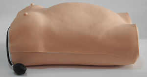 Modelo de PVC Computarizado Avanzado para Entrenamiento en Control de Maternidad/Natalidad, Obstetricia, Ginecología, Escuela de Ciencias Médicas - Product Image 2