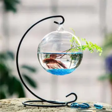 Creatieve Desktop Tank Decoratie Transparant Goudvis Kom Aquarium Aquarium Aquarium Aquarium Licht