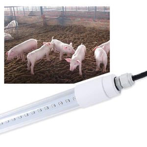 2023 NOUVEAU Dimmable Poulet Ferme Éclairage 4Ft <span class=keywords><strong>120cm</strong></span> Étanche IP65 Volaille Éclairage T8 <span class=keywords><strong>Led</strong></span> <span class=keywords><strong>Tube</strong></span> <span class=keywords><strong>prix</strong></span> usine - Product Image 5