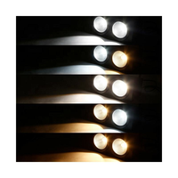 Système d'éclairage de scène DMX512 COB de haute qualité 200W, 2 yeux*100W, projecteurs LED blancs 2-en-1 pour DJ, discothèques et parcs à thème