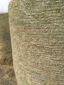 Rete Agricola per Fieno 100% HDPE ad Alta Resistenza, Peso 7g-10g, Servizio di Taglio - Product Image 6