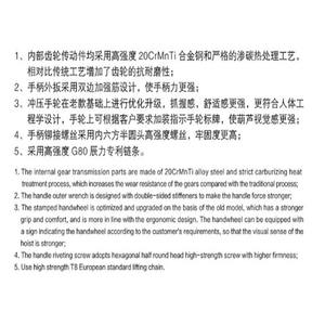 Penjualan Laris Katrol Rantai Tuas <span class=keywords><strong>250Kg</strong></span> 0.25 Ton Rantai Blok Kerekan Rantai - Product Image 2