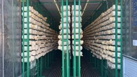 Pompe automatique Pro-leaf pour armoire de culture verticale, pour l'agriculture en conteneurs maritimes de 20'/40' pieds, pour la culture de laitue, du chanvre, des champignons et des fraises