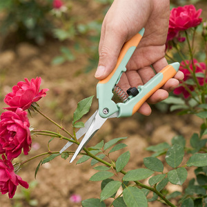Garden Pruning <b>Shears</b> 4 Piece Set Stainless Steel Rubber Handle Manual Cutting Flower Stems Orchard Fruit Grape <b>Tools</b> - Product Image 3