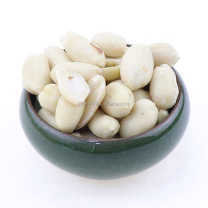 Vente de gros Chine Cacahuètes grillées séchées blanchies <span class=keywords><strong>non</strong></span> <span class=keywords><strong>salées</strong></span> - Product Image 2