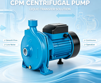 Pompe centrifuge de surface à économie d'énergie 220V monophasée, pompe à eau électrique pour surpression domestique et arrosage de jardin
