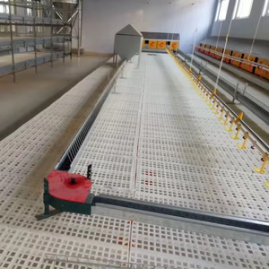 Système de Chaîne d'Alimentation Automatique pour Poulets à Moteur pour l'Élevage de Poulets de Chair et de Poules Pondeuses – Équipement Agricole - Product Image 4
