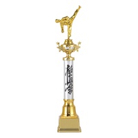Trophée de compétition de Taekwondo Honor, souvenir, trophée personnalisé avec logo, trophées de récompense