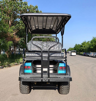 Voiturette de golf électrique multi-places en gros, buggy utilitaire résistant aux intempéries et respectueux du gazon pour les zones panoramiques en plein air