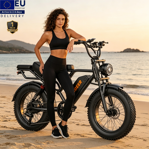 Bicicleta Eléctrica Todoterreno con Llantas Anchas, 250w/750w, para Adultos, Estilo Vintage, 48V 20Ah, Envío Directo desde Almacén Europeo V20 - Product Image 1
