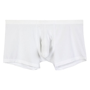 Nueva ropa interior Sexy de seda helada para Hombres Calientes para <span class=keywords><strong>Gay</strong></span> suspensorio ropa interior cómoda para pene ropa interior masculina transparente - Product Image 1